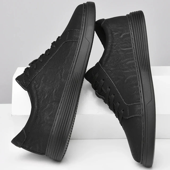 Dalmo Leather Shoes