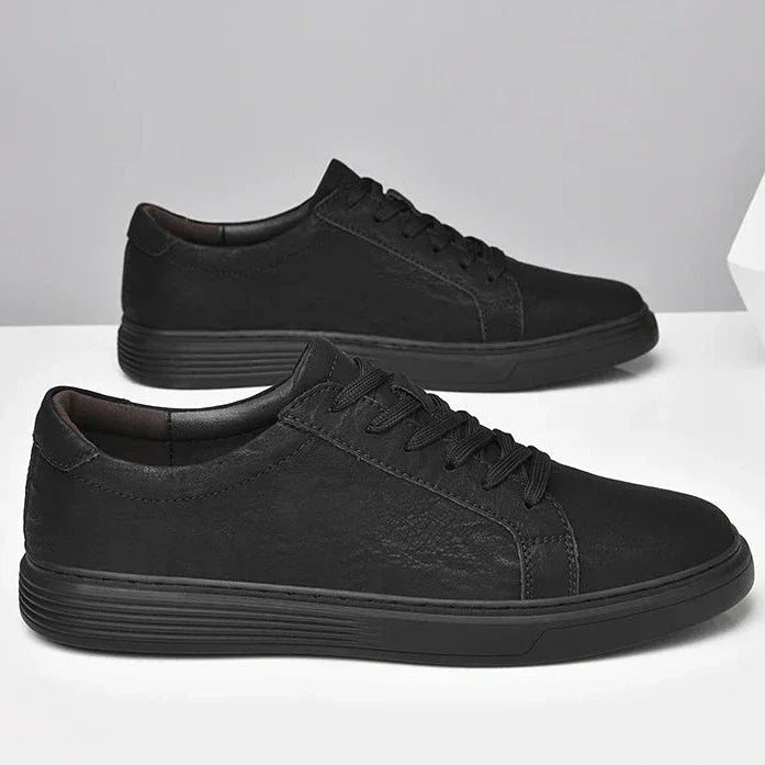 Dalmo Leather Shoes